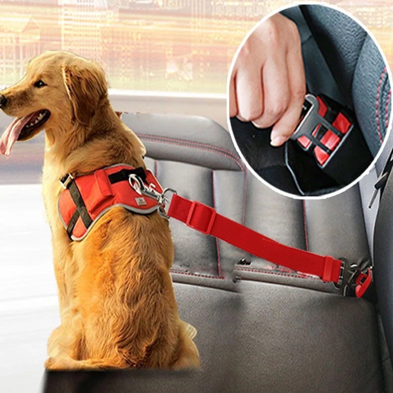automatic pet feeder