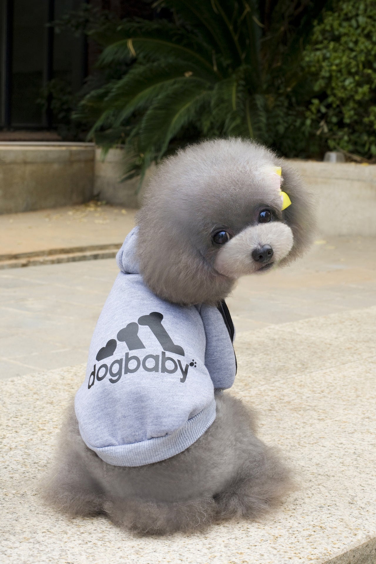 Dog Baby Pet Hoodie
