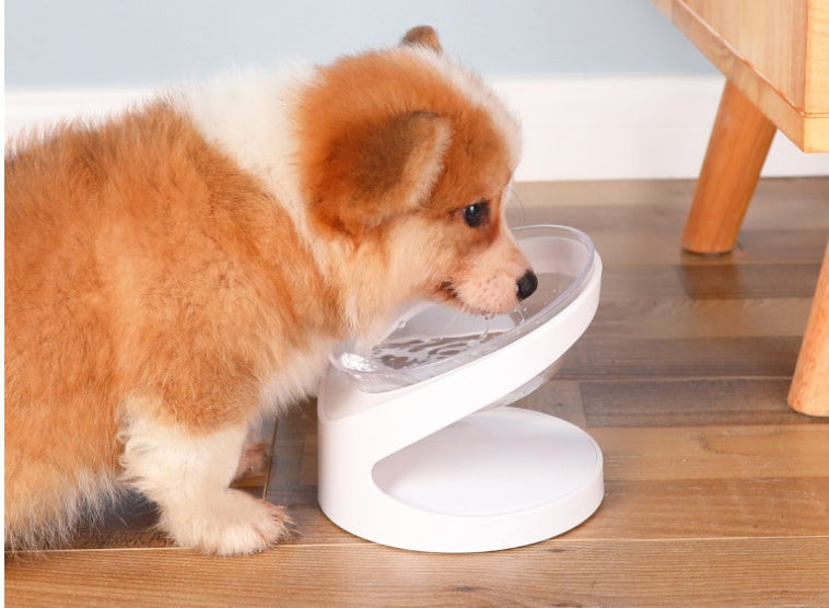 Diagonal Pet Bowl