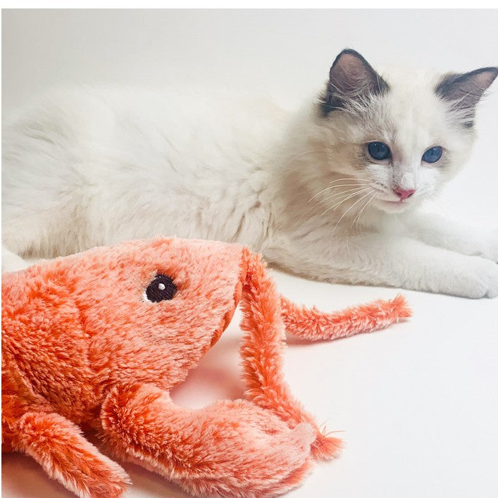White cat playing with electric jumping shrimp plush pet toy
