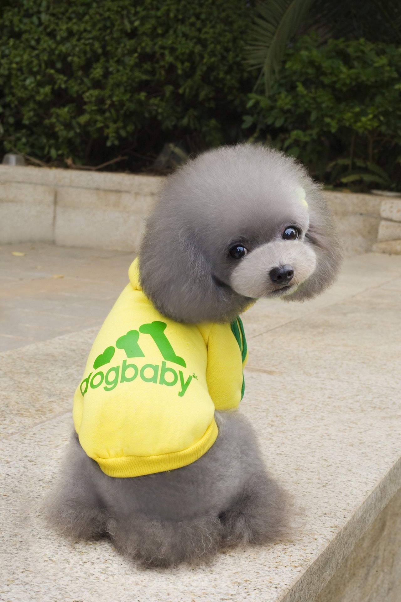 Dog Baby Pet Hoodie