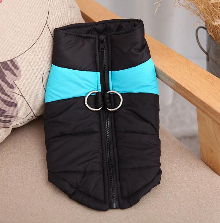 pet vest