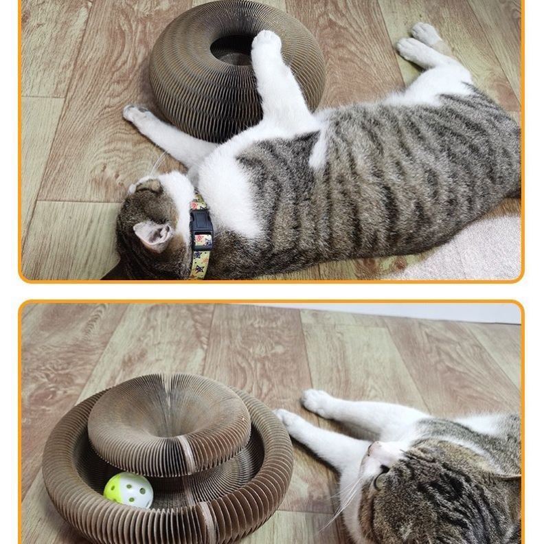 Cat playing with the Pounce and Play Cat Scratcher toy made of corrugated paper with an integrated ball on wooden floor