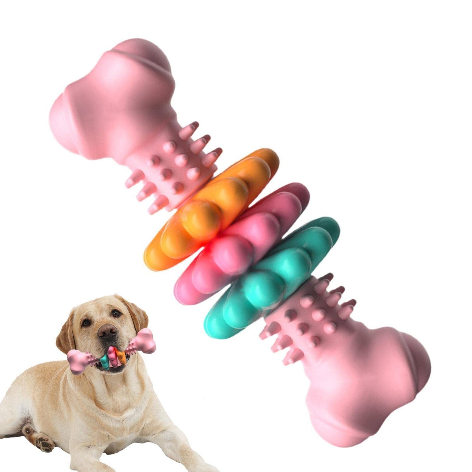 Fun Colorful Dog Chew Bone