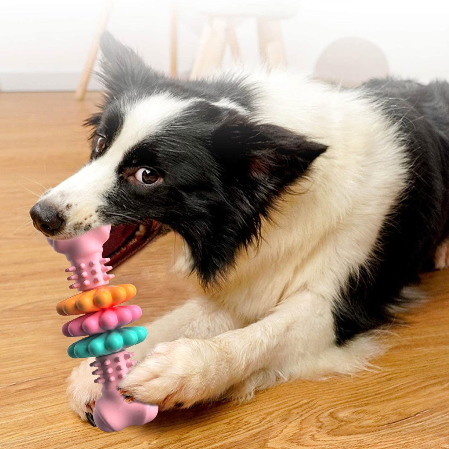 Fun Colorful Dog Chew Bone